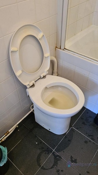  verstopping toilet Berkel en Rodenrijs